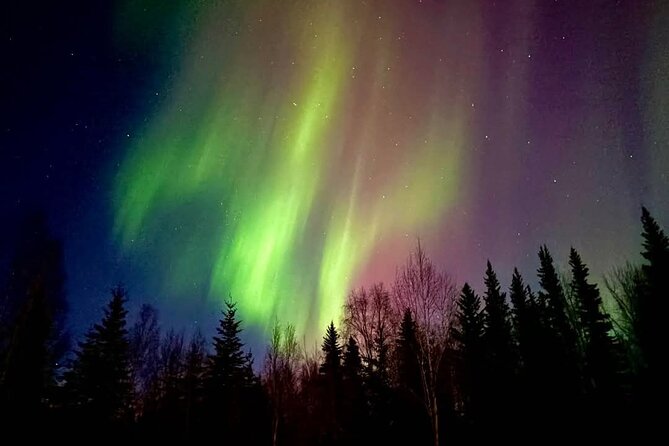 Fire & Ice: Chena Hot Springs, Ice Museum + Aurora Adventure - Why the Fire and Ice pairing works so well