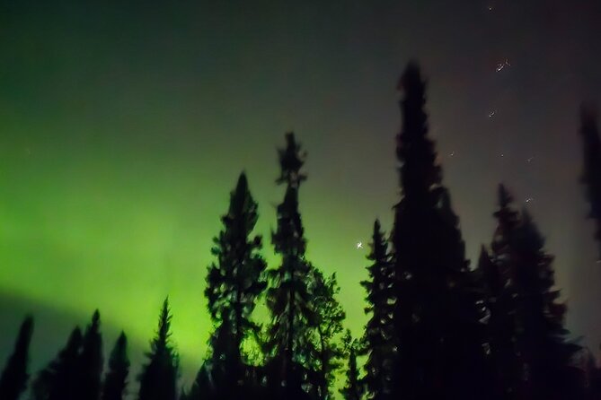Fire & Ice: Chena Hot Springs, Ice Museum + Aurora Adventure - Is $270 per person a good value?