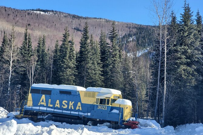 Fire & Ice: Chena Hot Springs, Ice Museum + Aurora Adventure - The evening drive from Fairbanks to Chena