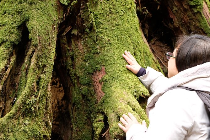 Forest Bathing in Temple and Enjoy onsen with healing power - Group size, fitness, and the best type of visitor