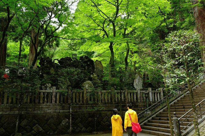 Forest Bathing in Temple and Enjoy onsen with healing power - Meeting at Odawara Station at 9 a.m.