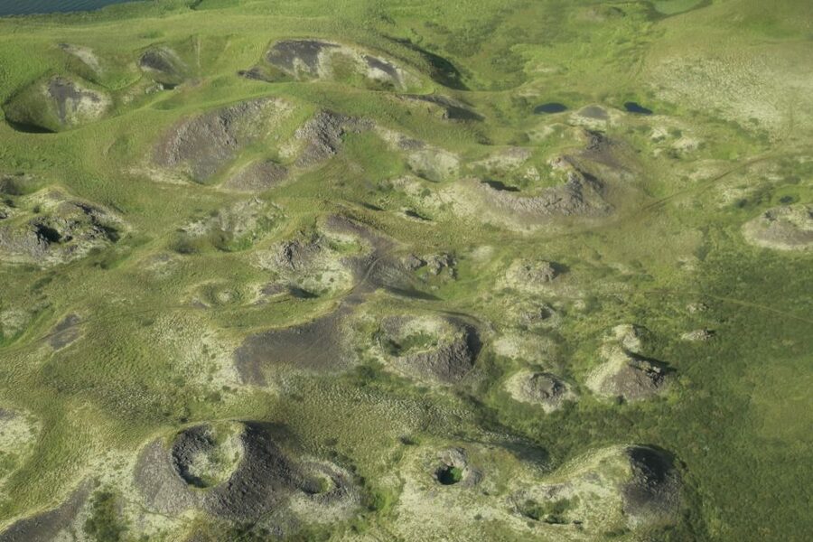 From Akureyri: Myvatn Lake, Craters, & Waterfall Tour - Who will enjoy this tour most?