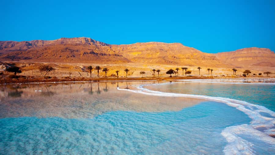 From Amman :Full day Dead Sea and Ma'in Hot spring tour - Who should book this tour?
