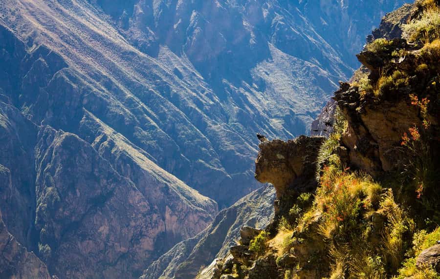 From Arequipa: Colca Valley & Thermal Baths Small-Group Trip - Breakfast and the first Colca Valley views