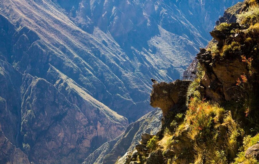 From Arequipa: Colca Valley & Thermal Baths Small-Group Trip - Lunch in Chivay and the long return