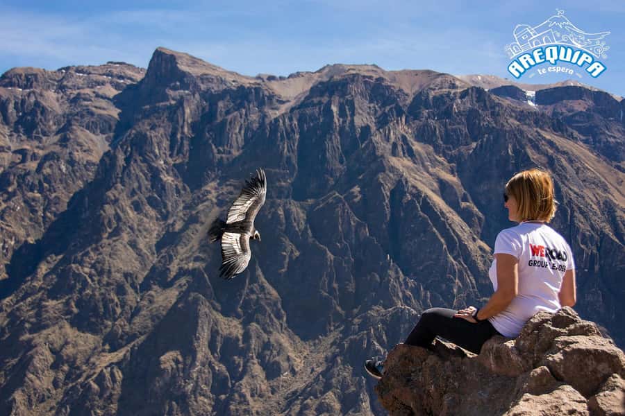 From Arequipa: Colca Valley & Thermal Baths Small-Group Trip - Patapampa and the Volcanoes Viewpoint