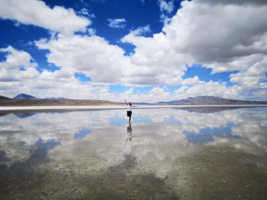 From Arequipa: Salinas Lagoon Full-Day Trip with Hot Springs - What the $49 price really covers