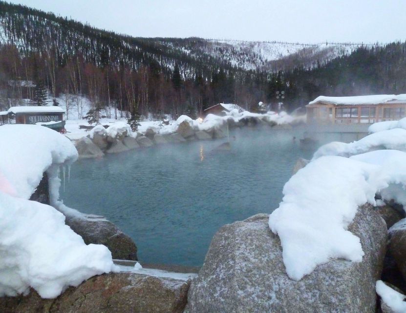 From Fairbanks: Chena Hot Springs Northern Lights Tour - Key points to know before booking