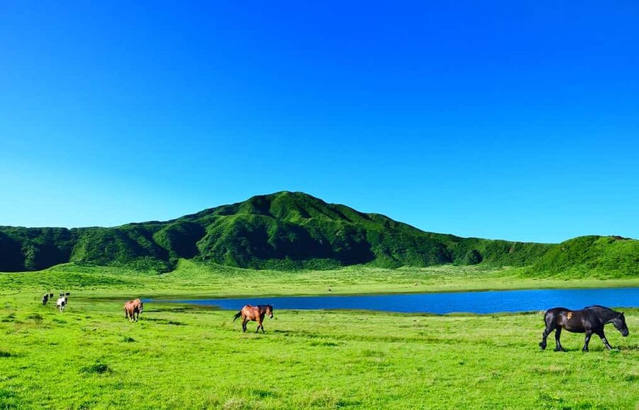 From Fukuoka: Mount Aso, Kurokawa Onsen, and Shrine Tour - What the Long Coach Day Feels Like