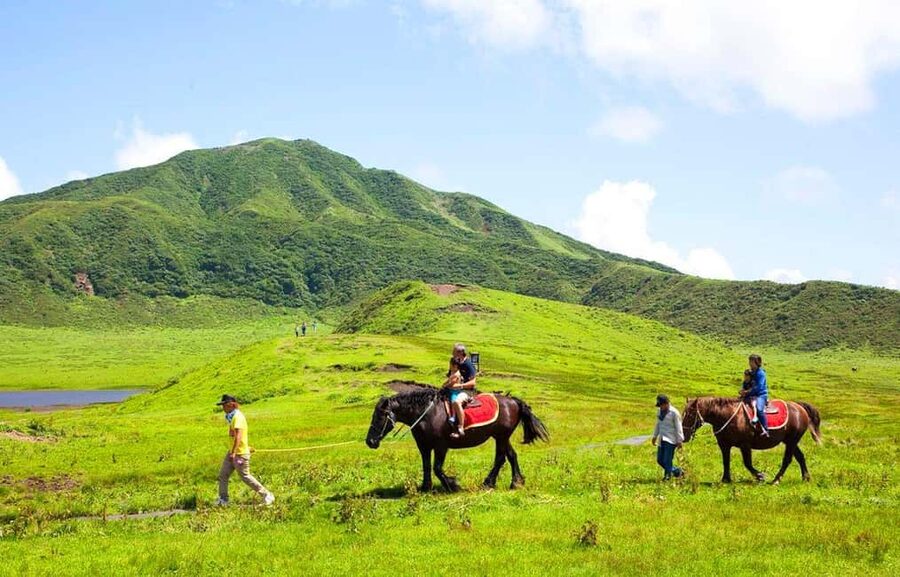 From Fukuoka: Mount Aso, Kurokawa Onsen, and Shrine Tour - What to Pack and How to Use Your Free Time