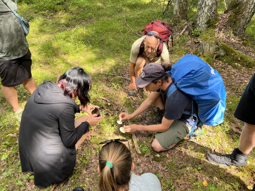 From Helsinki: Hike and Sauna in Sipoonkorpi National Park - Who should book this Sipoonkorpi sauna tour?