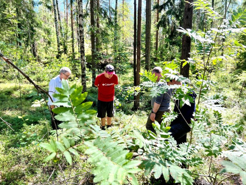 From Helsinki: Hike and Sauna in Sipoonkorpi National Park - Campfire lunch with a view of the park