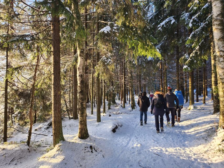 From Helsinki: Hike and Sauna in Sipoonkorpi National Park - Transport, timing, and the real value of $194