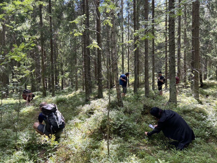 From Helsinki: Hike and Sauna in Sipoonkorpi National Park - A relaxed 6-kilometer walk through taiga forest