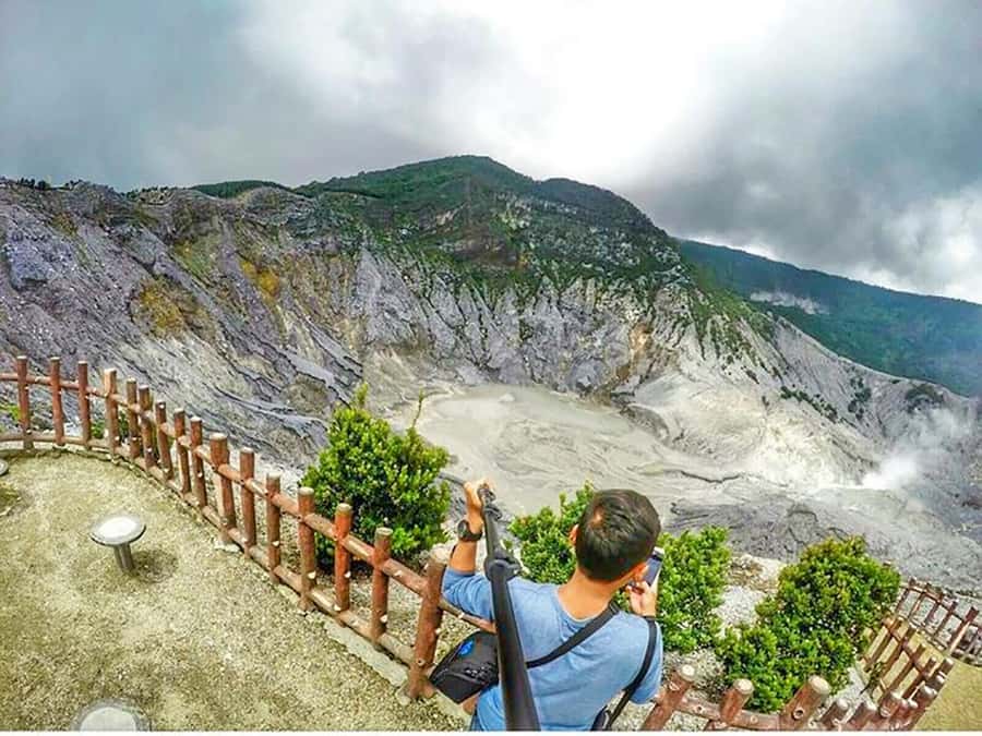 From Jakarta : Volcano, Tea & Rice Fields, Hot Spring - Fruit stalls, pineapple, and a taste of Java