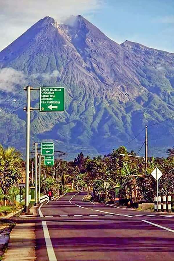 From Jakarta : Volcano, Tea & Rice Fields, Hot Spring - Luwak coffee at Cikole