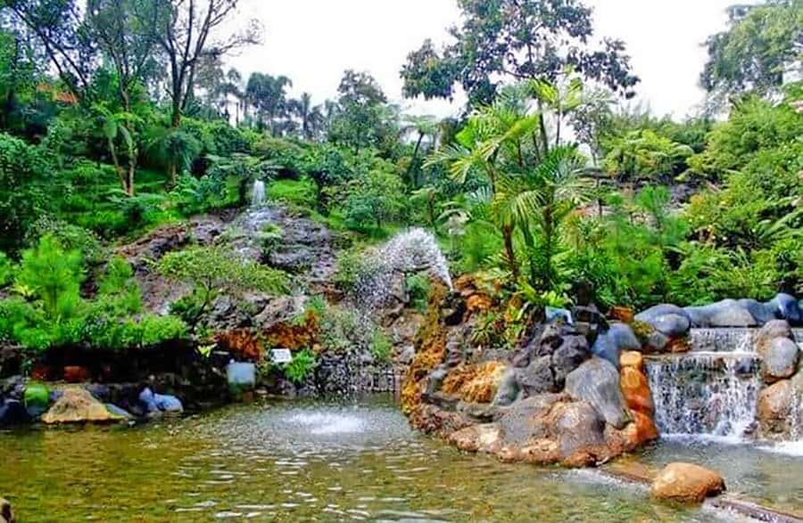 From Jakarta : Volcano, Tea & Rice Fields, Hot Spring - Lunch in Bandung and the value of a local meal