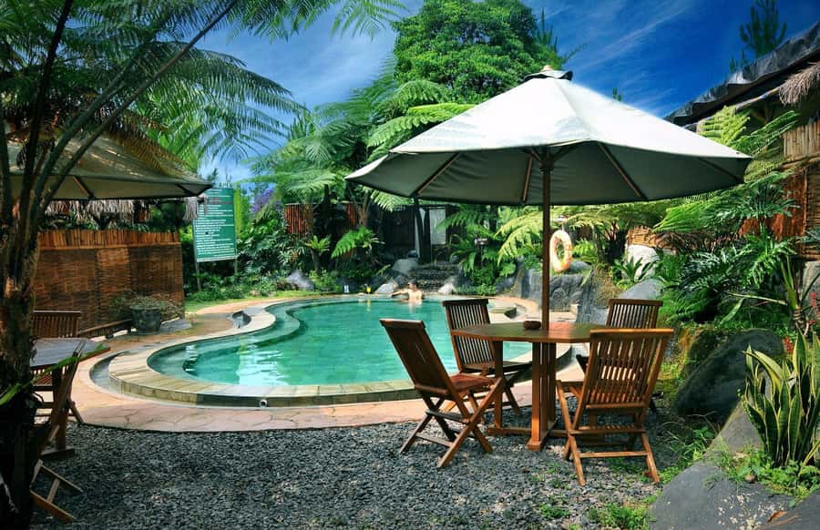 From Jakarta : Volcano, Tea & Rice Fields, Hot Spring - Tea farms around the volcano