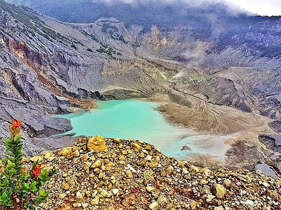 From Jakarta : Volcano, Tea & Rice Fields, Hot Spring - Sari Ater: warm water at the end