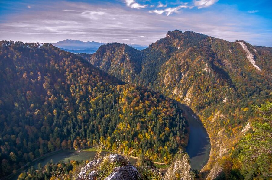 From Krakow: Dunajec River Rafting with Thermal Baths option - Communication and tour organization