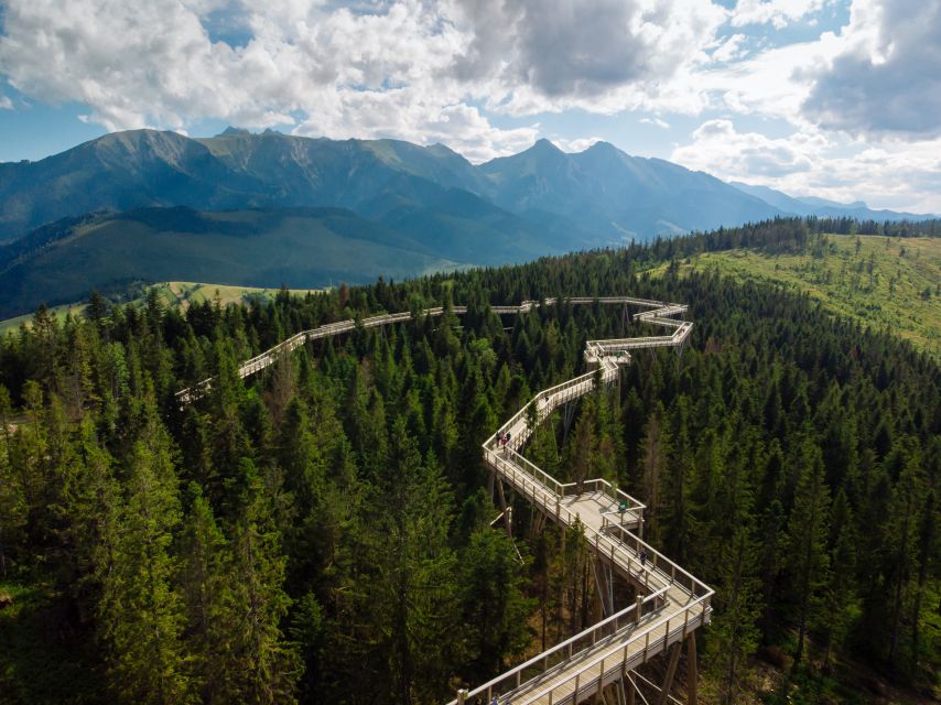 From Kraków: Slovakia Treetop Walk and Thermal Baths - Who will enjoy this day most?