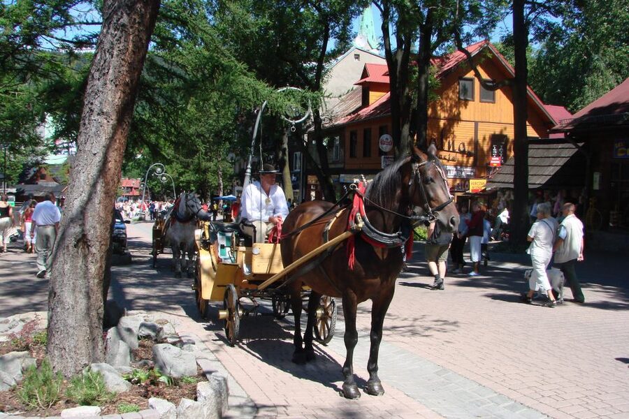 From Krakow: Slovakia Treetop Walk, Zakopane & Thermal Spa - Zakopane and Krupowki Street in two hours