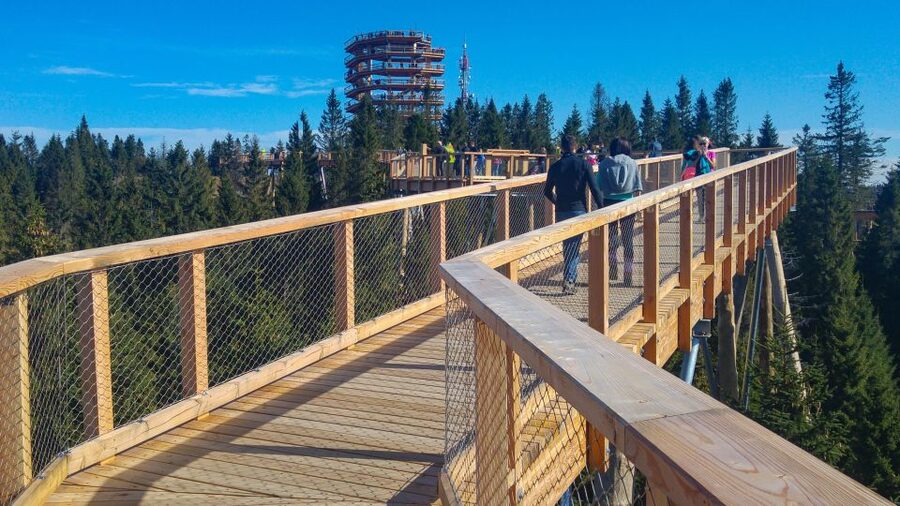 From Krakow: Slovakia Treetop Walk, Zakopane & Thermal Spa - Who should book this excursion?