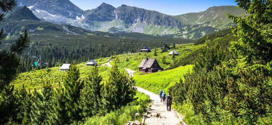 From Krakow: Zakopane & Hot Thermal Springs Private Tour - Small details that make the day easier