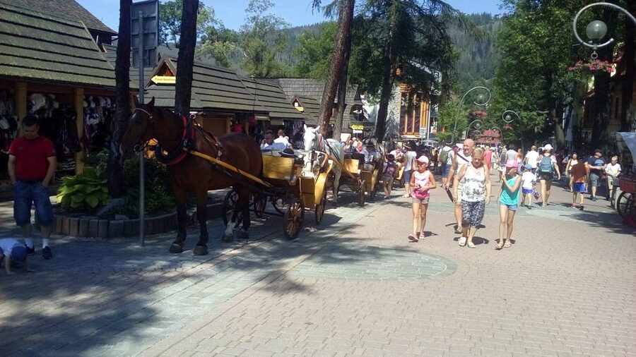 From Krakow: Zakopane & Hot Thermal Springs Private Tour - Gubałówka by funicular