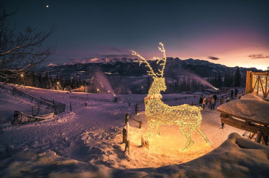 From Krakow: Zakopane & Hot Thermal Springs Private Tour - Two hours in Zakopane