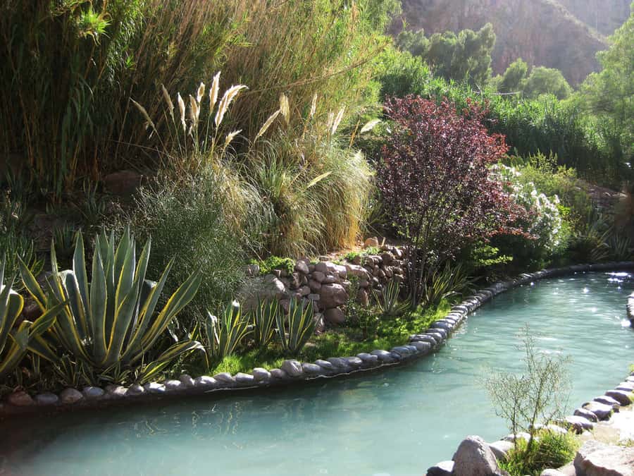 From Mendoza: Premium Spa Day at the Cacheuta Hot Springs - A buffet lunch with Argentine character