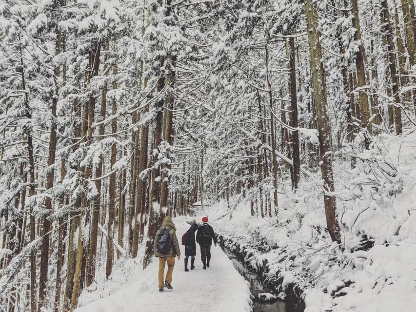 From Nozawa Onsen: Snow Monkeys and Zenko-ji Day Trip & Sake - A warming lunch after the cold