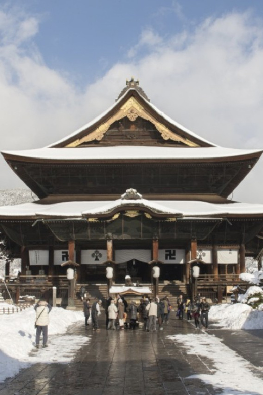 From Nozawa Onsen: Snow Monkeys and Zenko-ji Day Trip & Sake - How the $135 price works out