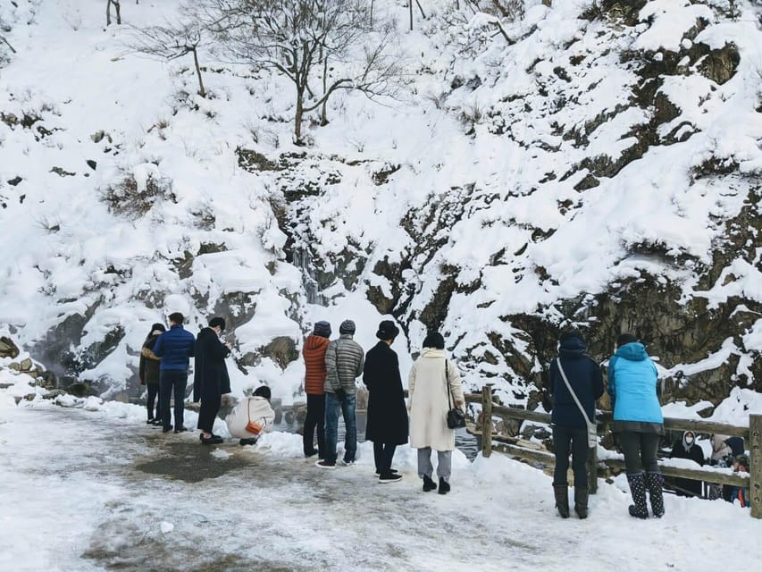 From Nozawa Onsen: Snow Monkeys and Zenko-ji Day Trip & Sake - The guides can shape the whole day