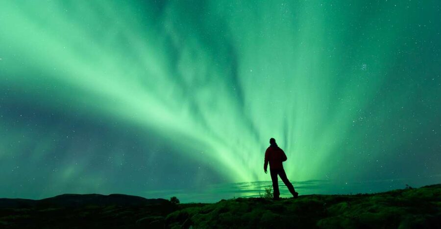 From Reykjavik: Blue Lagoon and Northern Lights Tour - The return to Reykjavik matters