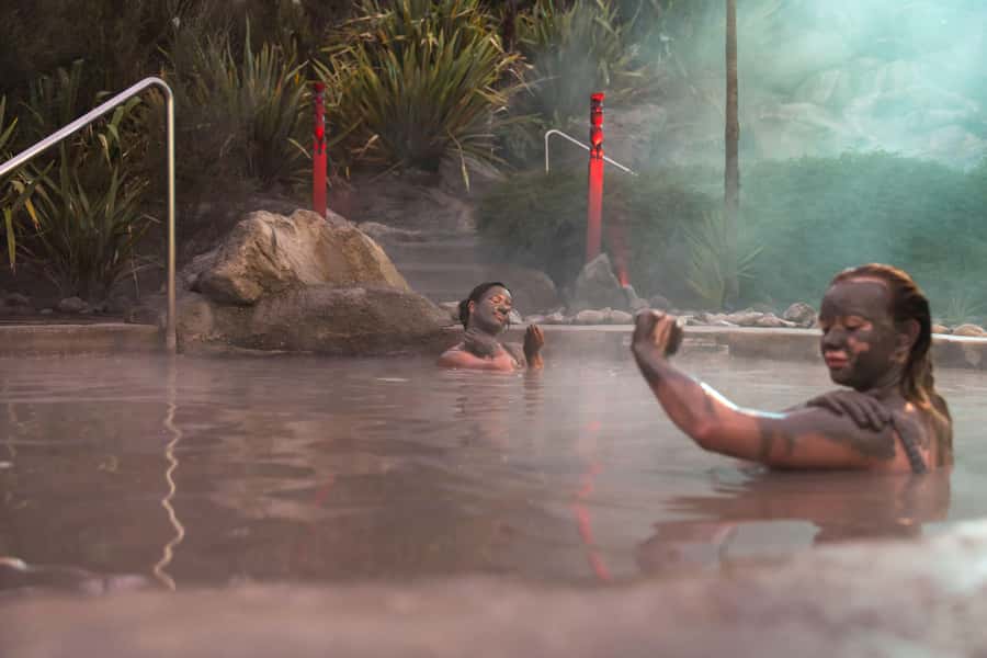From Rotorua: HELL's GATE Geothermal MUD BATH Half Day Tour - Lunch at Hell’s Gate Café