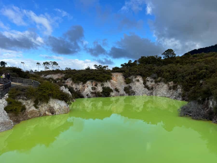 From Rotorua: WAI-O-TAPU Geothermal Wonderland Half-Day Tour - Lady Knox Geyser and the morning eruption