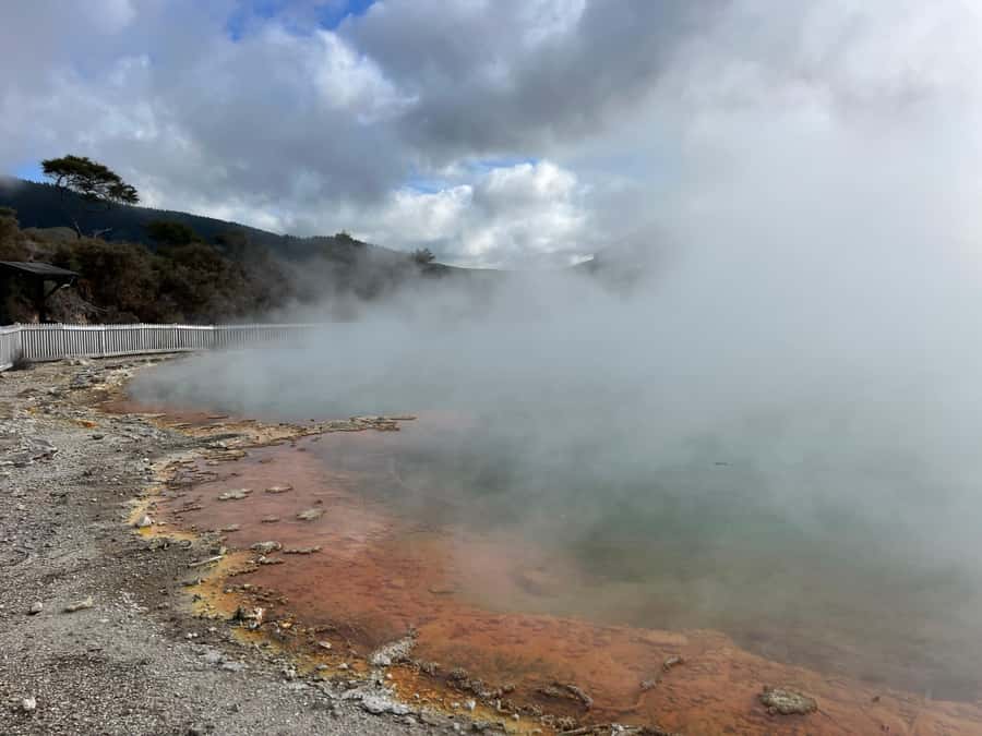 From Rotorua: WAI-O-TAPU Geothermal Wonderland Half-Day Tour - Lake Rotorua and the return through town