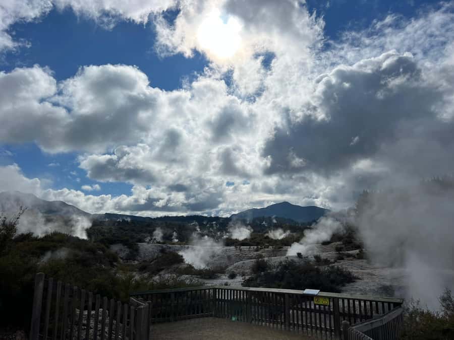 From Rotorua: WAI-O-TAPU Geothermal Wonderland Half-Day Tour - Meeting the vehicle at Rotorua iSite