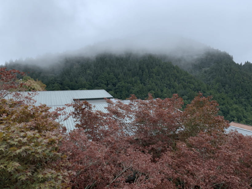 From Taipei: Taipingshan & Jiuzhize Hot Spring Private Tour - Jiuzhize Hot Spring: relaxing, but know the bathing rules