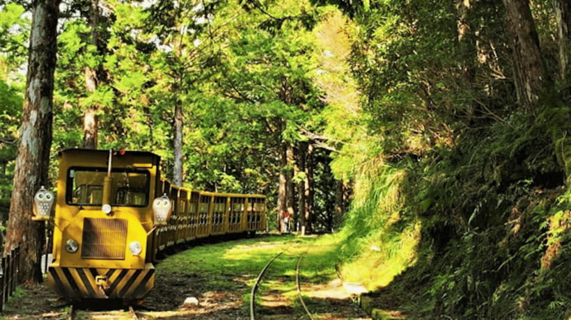 From Taipei: Taipingshan & Jiuzhize Hot Spring Private Tour - Walking the Jianqing Huaigu Trail