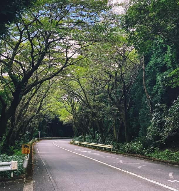 From Tokyo: Private Tour to Fuji/Hakone - Onsen, Art, Nature - Key points at a glance