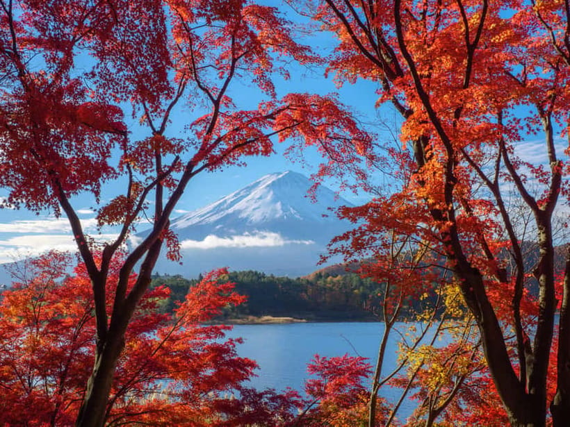 From Tokyo: Private Tour to Fuji/Hakone - Onsen, Art, Nature - Who should book this experience?