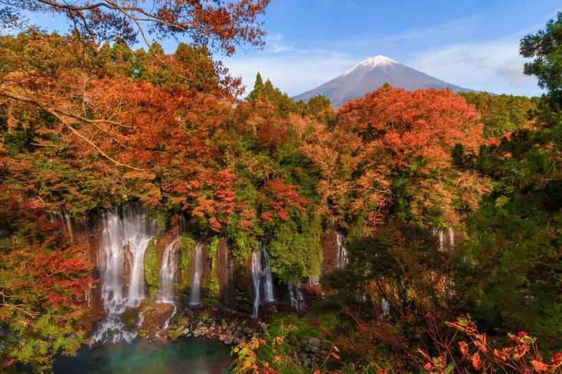 From Tokyo: Private Tour to Fuji/Hakone - Onsen, Art, Nature - Weather, timing, and the practical tradeoffs