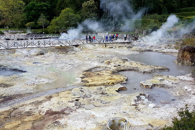 Full-Day Furnas Adventure: Lake, Fumaroles and Thermal Pools - Tea at Gorreana, where Europe grows its own leaves