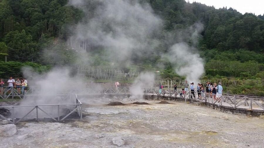 Full day Furnas | Hotsprings | Thermal Baths | Tea Factory - Gorreana Tea Factory and the main point to clarify