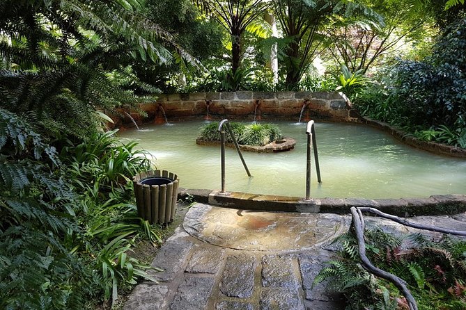 Full-Day Furnas Tour: Hot Springs, Traditional Lunch & Tea - Caldeira das Furnas brings the sulfur close
