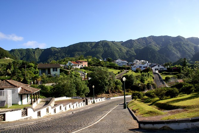Full-Day Furnas Tour: Hot Springs, Traditional Lunch & Tea - Terra Nostra Garden pairs plants with a hot pool