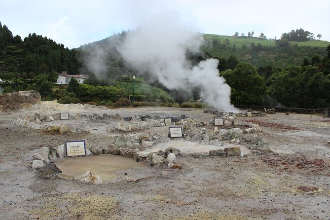 Full Day Furnas, Volcano stew and hot springs - Terra Nostra combines gardens and hot water