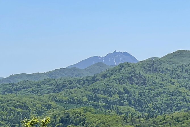 Full Day Green Season Hiking in Sapporo and Hokkaido with onsen. - From Makomanai Station to the trailhead
